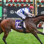 which horse to bet on melbourne cup 2021
